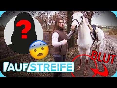 BLUTIGER REITUNFALL 🩸​🐎​ Suche nach der vermissten jungen Reiterin | Auf Streife | SAT.1