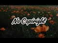 Plain No Copyright Music Acoustic Inspiring Folk Music Calm Folk Music SoulProdMusic