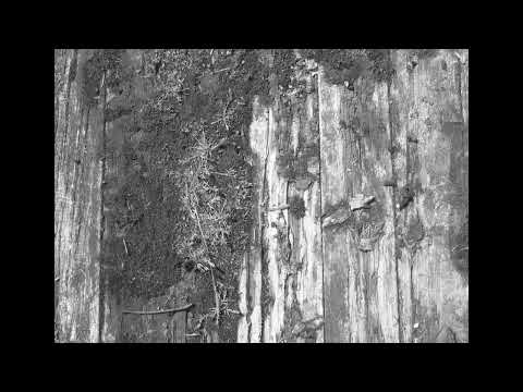 Mind over MIDI - Echo version