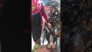 Download lagu 7 bulanan || adat jawa || mp3 Download lagu 7 bulanan || adat jawa || mp3