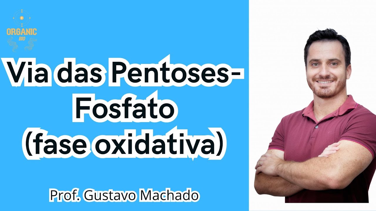 Via das Pentoses Fosfato - Fase Oxidativa OrganicBio