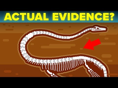 Scientists Find Best Evidence That The Loch Ness Monster Actually Exists? Video