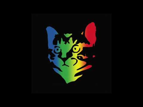 Whoopie Cat - When The Light