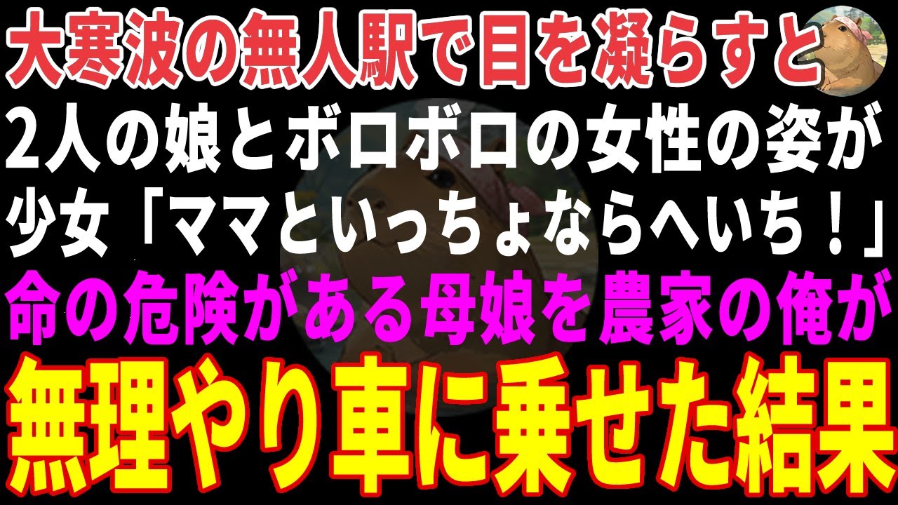 【感動する話】大寒波の無人駅で0歳の娘をかばうボロボロの母親→農家の俺が無理やり車に乗せた結果 【朗読・スカッと】