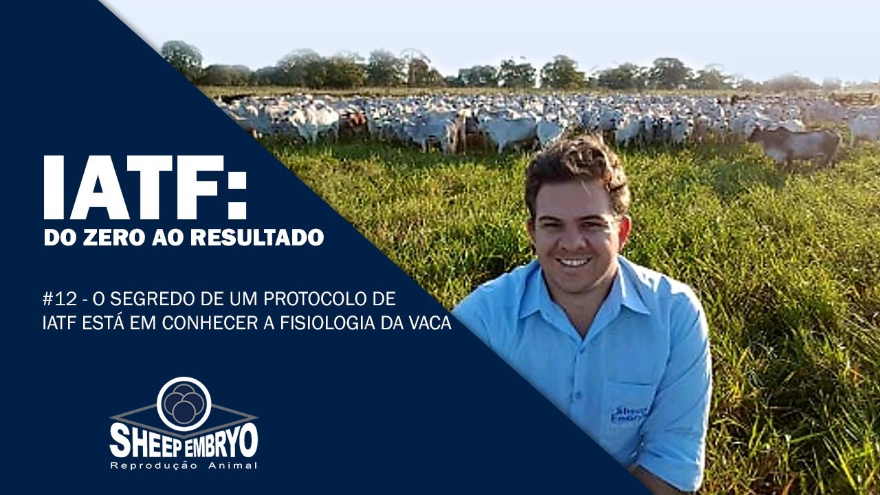 O segredo de um protocolo de IATF está em conhecer a fisiologia da vaca