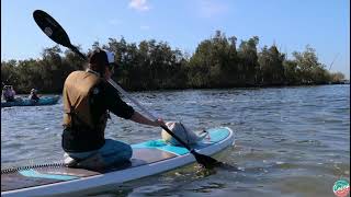 Paddle the Wildlife Refuge with Cocoa Kayaking! So much Wildlife!