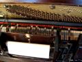 Strut Miss Lizzie Played By Pete Wendling Original 1920 QRS Piano Roll Lauter Humana Piano