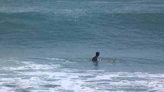 preview picture of video '103 Dias # 0226 - Dia 49 (Indonésia): Tentativa de surf em Dreamland Beach'