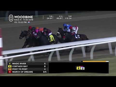 Woodbine: November 30, 2019 - Race 9