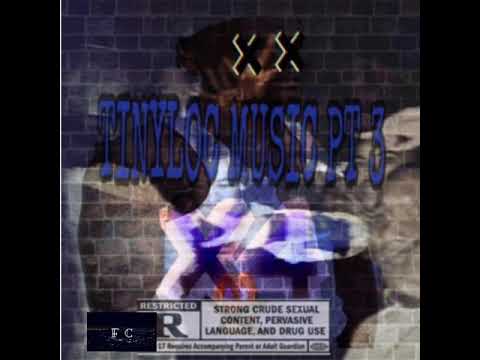 X4 - Tinylocmusicpt3