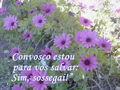 Sossegai - 578 - Harpa cristã