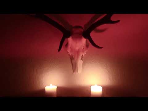 Techno, Trips und Tütenwein - Hepatitis Blau 🍺🔵 (Official Video)