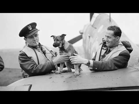 #80WW2: Polish Soldiers Fighting in all Theatres of the World War 2