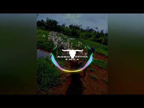 Tião Carreiro e Pardinho: Arreio de prata (com grave)