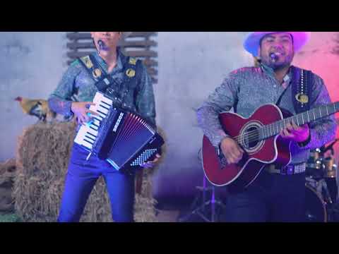 LOS 3 GALLOS - ECHÁNDOME UN PERICO (en vivo)