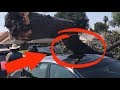 A Tree Fell On Their Car