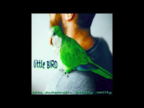 "LITTLE BIRD" by DISL Automatic & Smitty (prod by VeCity)