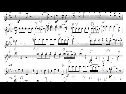 WYO Magic Flute 1st violin measures 16to96 tempo110