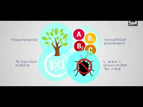 Ի՞նչ է ԳՄՕ-ն: