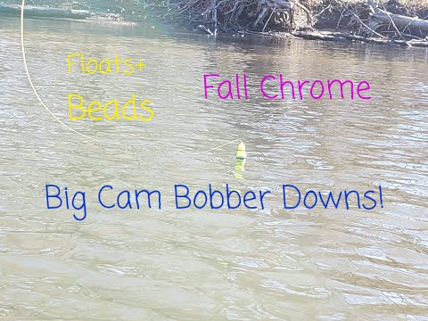 STEELHEAD BOBBER DOWNS Fall FRESH CHROMERS