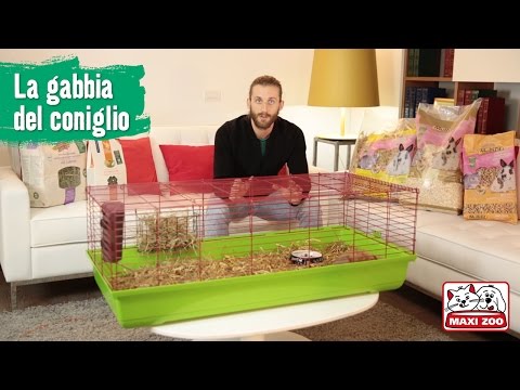 Se cè un calamaro a helminths Comesser trattato da carbonato di sodio per parassiti