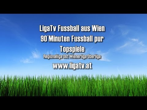 Promotion LigaTV.at 2013