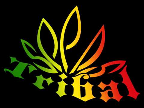 TRIBAL MIX 2011 DJ LOWBO