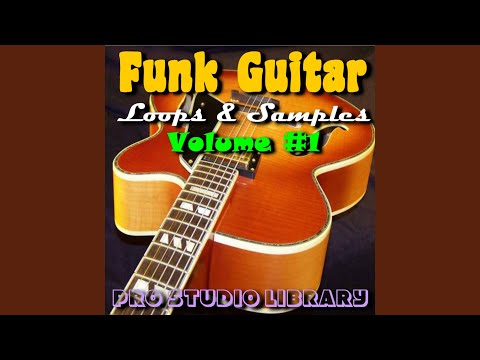 Funk Guitar Sample #20