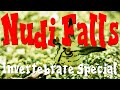Muck diving Nudi Falls in Lembeh, Indonesia - Invertebrates Special, Lembeh Sea Dragon, Sea Dragon, Nudis, Nacktschnecken, invertebrates, Nudi Falls, Indonesien, Sulawesi