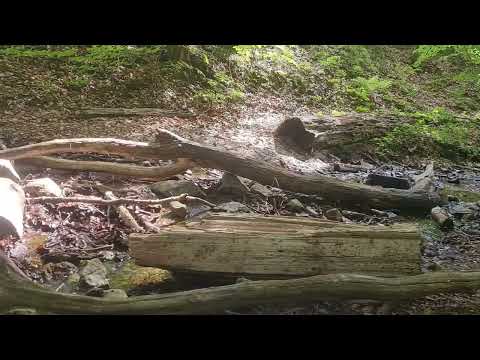 Inna Di Water💧/ Inna Di Faya🔥(Revision) - Earthical Mind Dub (Reggae)