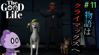 犬と猫と坊主【The Good Life】＃11