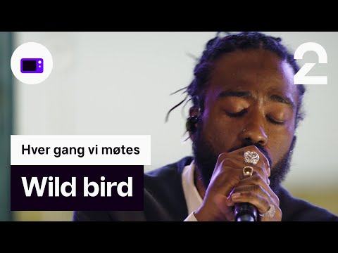 Video thumbnail for WildBørd (Wildbird)