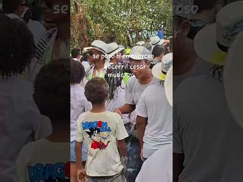 #paletilla #becerril cesar