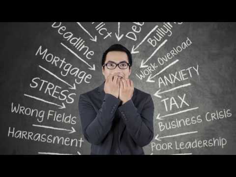 Fight or Flight vs  Rest and Digest Adrenal Fatigue