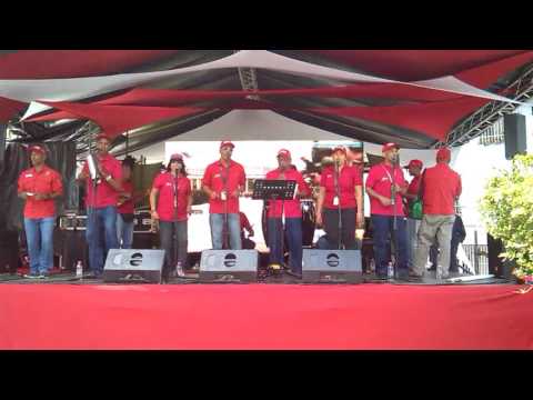 Quien ha visto negro como yo