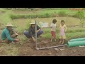 A Day In The Life Of A Village Life In A Village