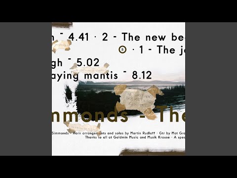 The State (Larry Heard aka Mr. Fingers Late Night Mix)