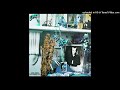 Brian Eno - The Paw Paw Negro Blowtorch (Instrumental)
