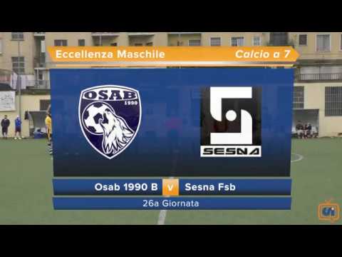 Sintesi Osab 1990 B - Sesna Fsb