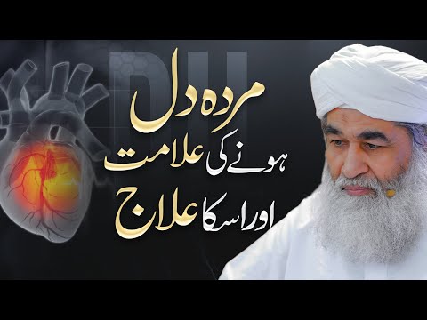Konse Kaam Karne Se Dil Murda Hota Hai? | Dil Ka Zang Dor Karne Ka Tarika | Maulana Ilyas Qadri