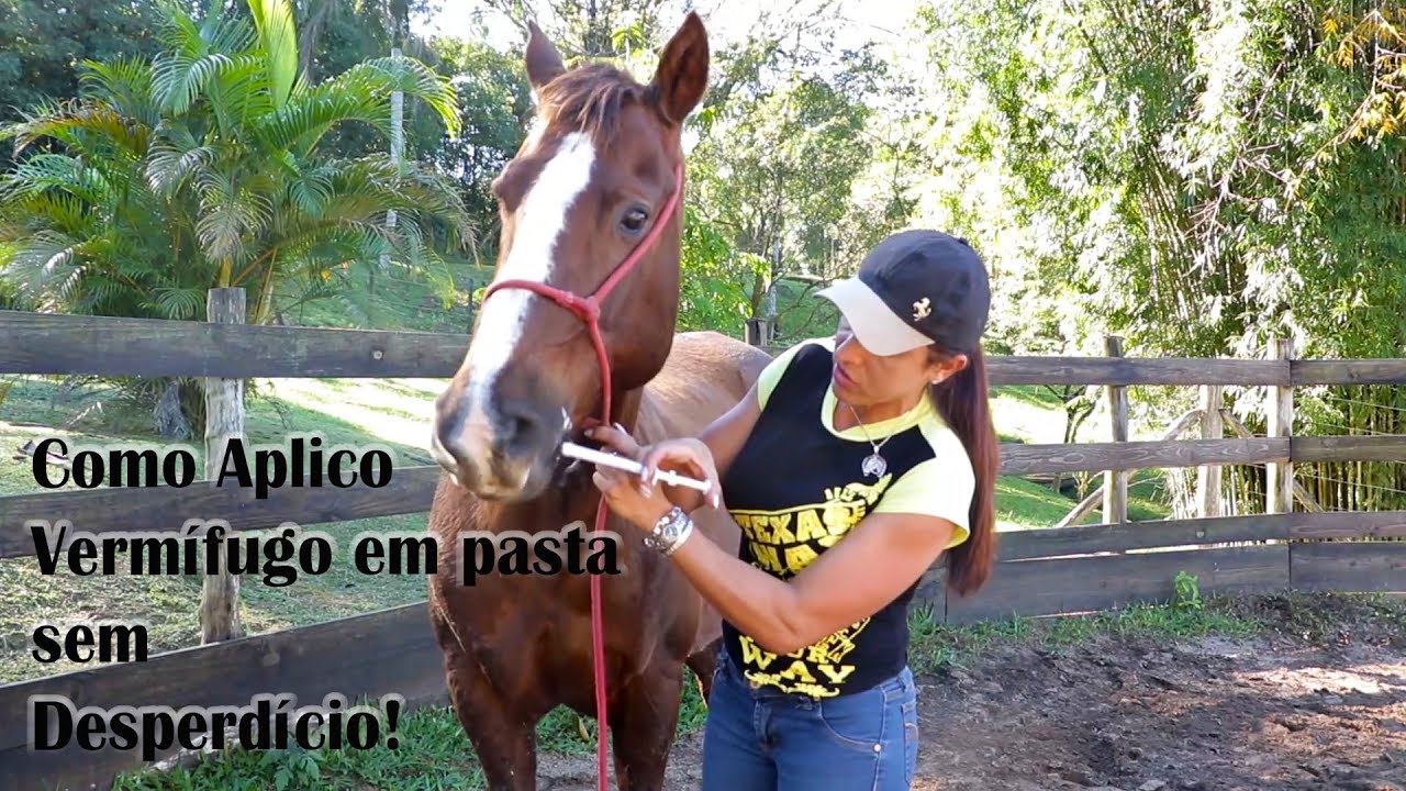 Como aplicar Vermífugo em Pasta na Boca do Cavalo sem desperdício