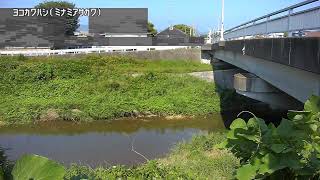 横川橋映像監視局