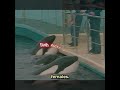 KILLER WHALE: The Story Blackfish Didn’t Tell You