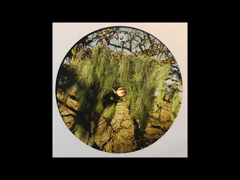 The Orchard feat. Violinbwoy - Dub Dynasty - Holy Cow