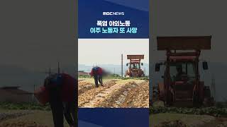 에어컨 없는 숙소 외국인 노동자 사망