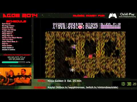 AGDE 2014 - Ninja Gaiden 3