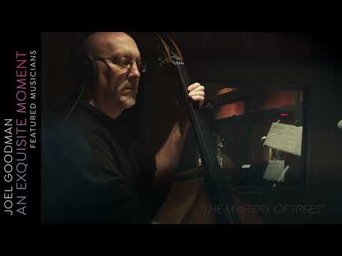 Joel Goodman - An Exquisite Moment (Musician Profile: Scott Colley)