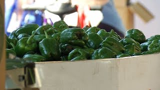 PRISM provides free produce to the public