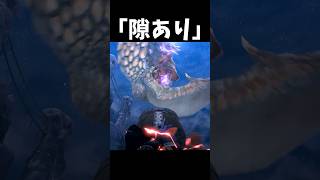 縄張り争いは危険