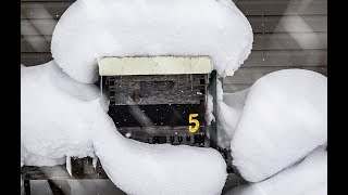 Honey Bees in WINTER Record Cold Record Snowfall Are they ALIVE or DEAD how I know